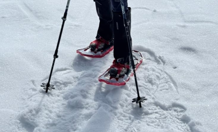 Ironshin Snow Gaiters